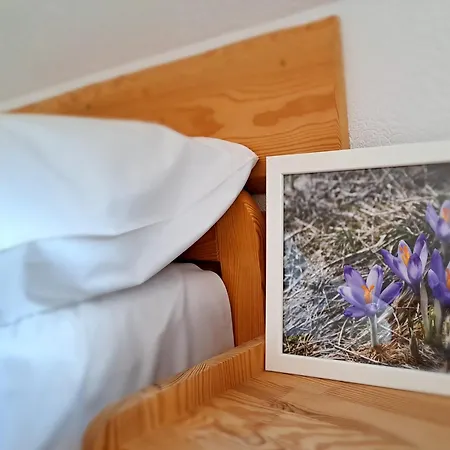Homestay Przy Szlaku Centrum & Zakopane