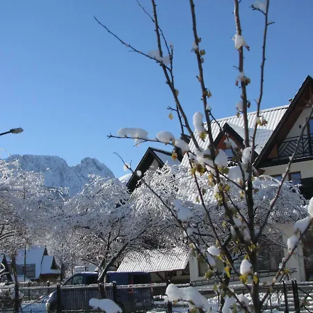 Przy Szlaku Centrum & * Zakopane